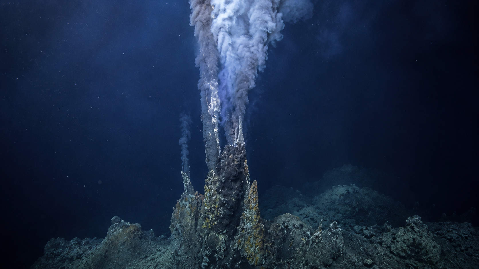 Fumarola hidrotermal en el fondo oceánico del Axial Seamount, volcán submarino frente a Oregón, EE. UU.
