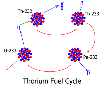 Diagrama del ciclo de combustible del torio: Th-232 captura un neutrón, se convierte en Th-233, decae a Pa-233 y finalmente a U-233 fisible