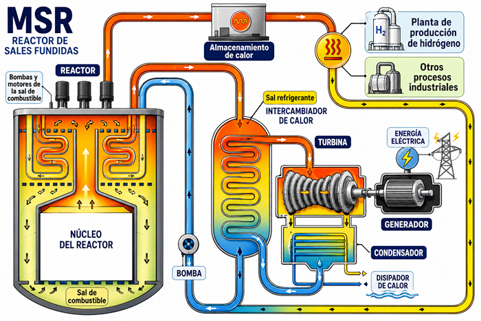 Esquema técnico de un reactor de sales fundidas (MSR): circuito primario de sales calientes, intercambiador de calor, turbina y generador eléctrico